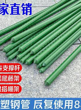 爬藤架四季豆架杆黄瓜豆角支撑杆蔬菜瓜棚搭棚架种菜花卉植物架子
