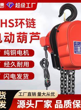 环链电动葫芦80V1吨/2吨/t/5t/10吨220VDHS电动葫芦倒链提升机
