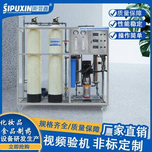 0.5T全自动反渗透设备反渗透纯水设备小型纯水设备去离子 SRO