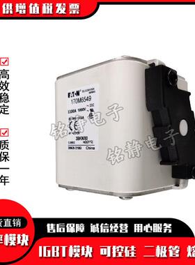 熔断器170M6544 170M6545 170M6546 170M6547 170M6548 170M6549