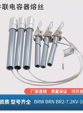 并联熔断器熔芯BRW-BRN-BR2-10-12KV65A100A150A保护熔丝电容器