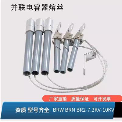 并联熔断器熔芯BRW-BRN-BR2-10-12KV65A100A150A保护熔丝电容器