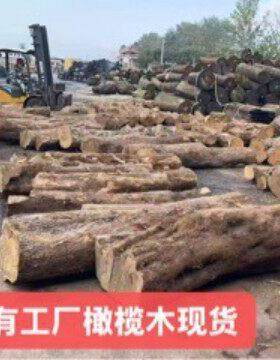 印度橄榄木原木 实木花橄榄 意大利橄榄木板材加工家具河流桌木料