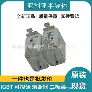 170M2676 170M2679 限流熔断器 断路器 电流保护装置 原装现货