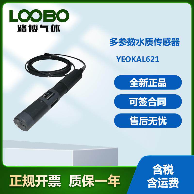 澳大利亚YEOKAL621多参数水质传感器高精度检测仪
