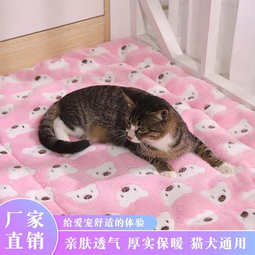 亚马逊可印图宠物垫子加厚法兰绒狗狗毛毯地垫子猫咪睡窝床垫子