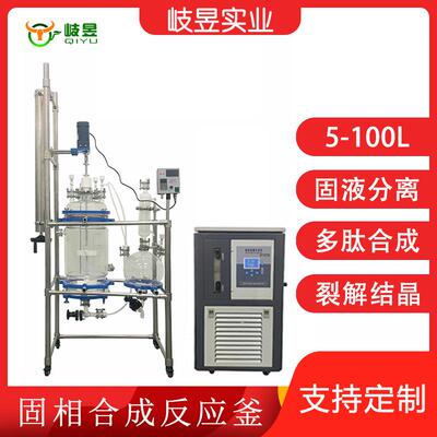 岐昱实验反应仪器厂家直销合成裂解结晶过滤多功能双层玻璃固相釜