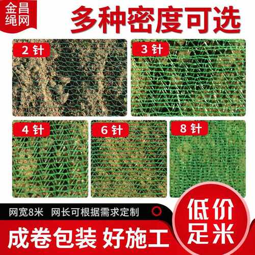土网防尘绿化网建筑工地裸EHD网土盖沙盖煤盖山东绿网2针3针覆4针