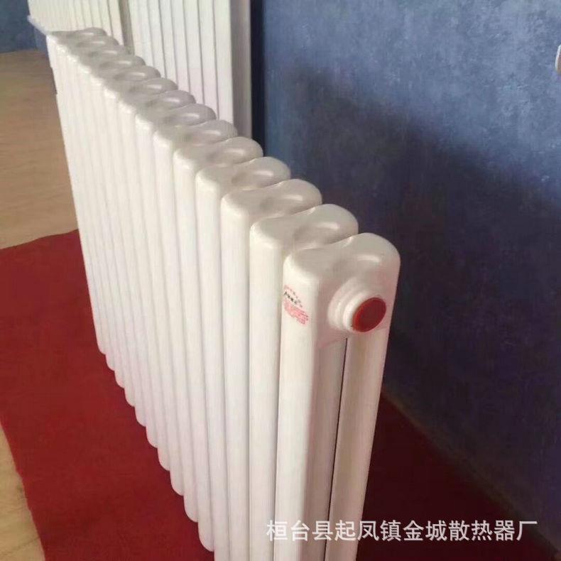 家用钢二柱暖气片60*30客厅卫生间静电喷涂钢二柱暖气片取暖器图片