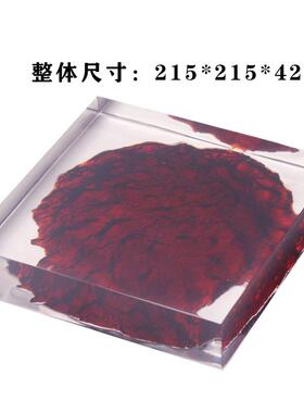 创意新中式透明树脂禅意托盘组合桌面摆件样板房客厅茶室软装摆件