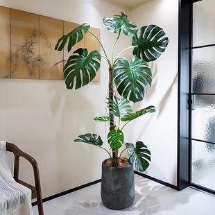 巨叶老桩龟背竹仿真绿植盆型客厅室落内仿生HAIH0426假树大地栽单