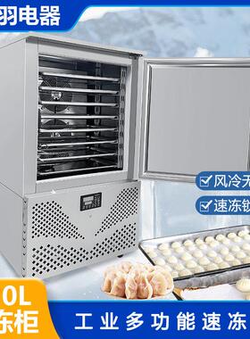 120/180/230L商用速冻柜急冻箱包子饺子急冻柜-45度海鲜速冻机