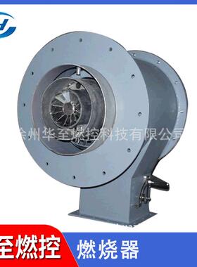 加工XRQ-1油燃烧器发电厂锅炉流化床锅炉焚烧厂可燃用油燃烧器