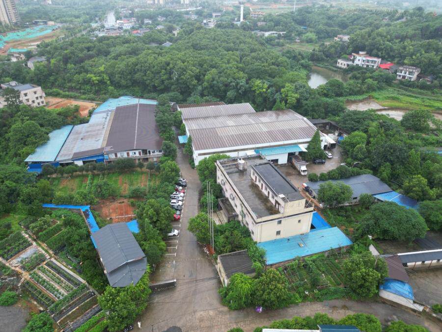 4月1日湘潭市食品公司的资产网络拍卖公告