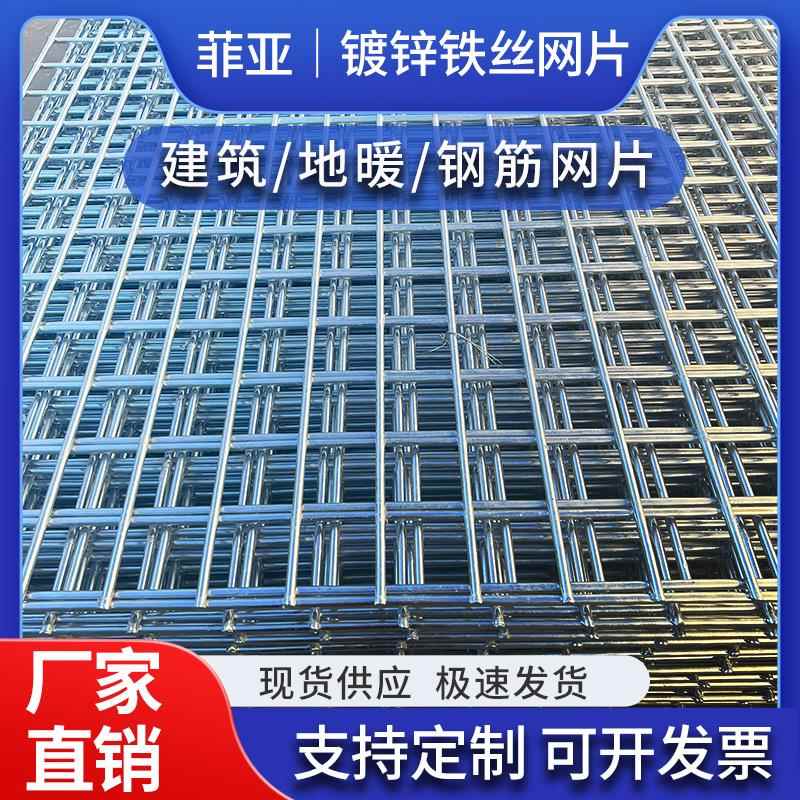 菲亚镀锌铁丝网片围栏小孔加粗养殖网鸡狗笼建筑钢筋长孔网格钢丝
