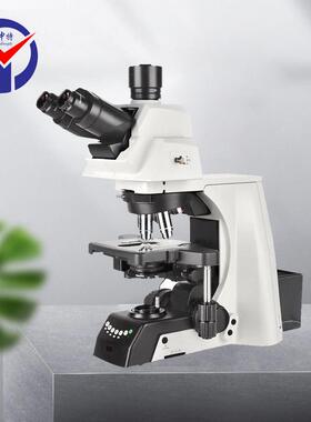 NE900FL科研级正置生物显微镜人体工学设计研究级荧光生物显微镜