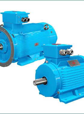 YFB5-355L2-2 315KW 防爆标志ExtDT130℃ 高压防爆电动机卧龙电气