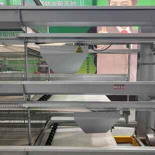 畜牧养能殖全动自智化阶梯式 捡GII蛋机大规模集蛋器立机械蛋鸡式