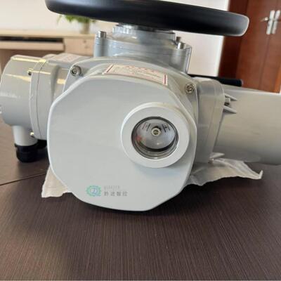 DZW120替代手动装置Z120-24电动执行器 经济实用 质保3年AC380V