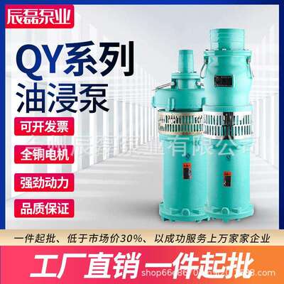 QY油浸式潜水泵80V农用灌溉高扬程大流量抽水机三相小老鼠喷泉泵