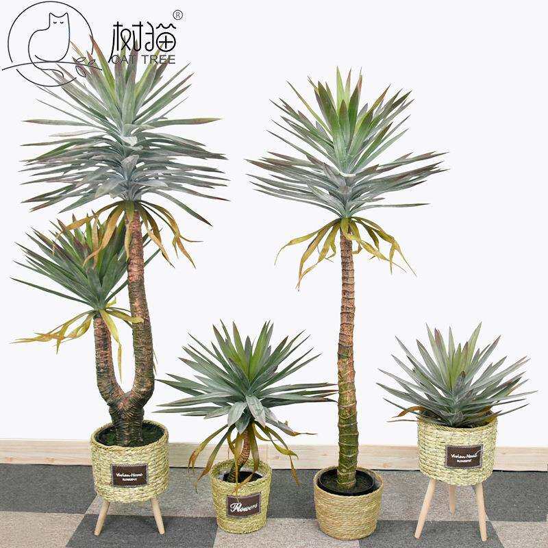 高档仿真龙舌兰盆栽大型凤尾丝兰树人造剑麻假绿植门面装饰盆景树