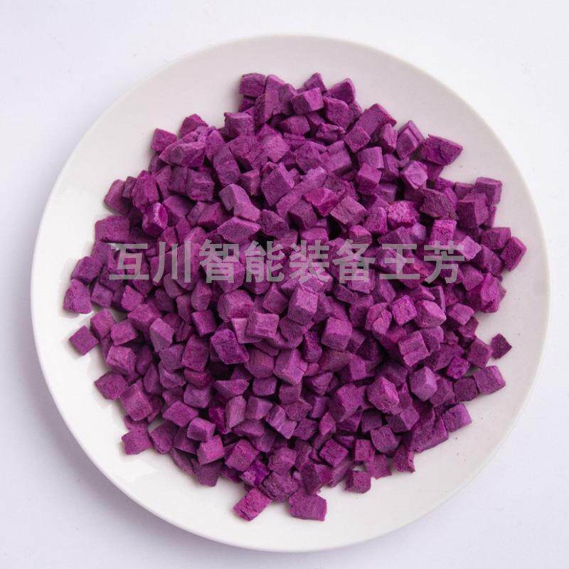 冻干蔬菜荷兰机械 水蜜桃果干冷低温EVC冻脱水豆冻干燥干机流水线