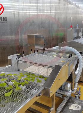 山源牌翠叶油炸机器 全自动苏子叶裹浆油炸机配套设备 包上门安装