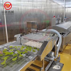 山源牌翠叶油炸机器全自动苏子叶裹浆油炸机配套设备包上门安装