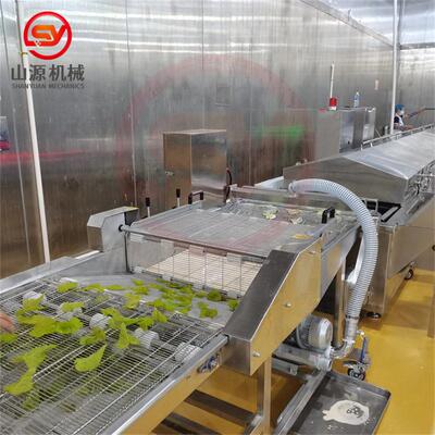 山源牌翠叶油炸机器 全自动苏子叶裹浆油炸机配套设备 包上门安装