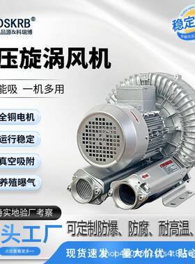 高压鼓风机厂家RB-6D-A2吹吸两用风机2RB60-7AH16旋涡气泵2.2KW