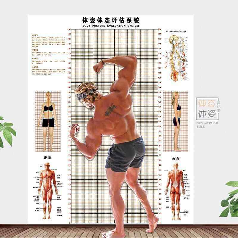 体态评估表墙贴健身房体身高测量瑜伽馆私教姿势体位体脂图图