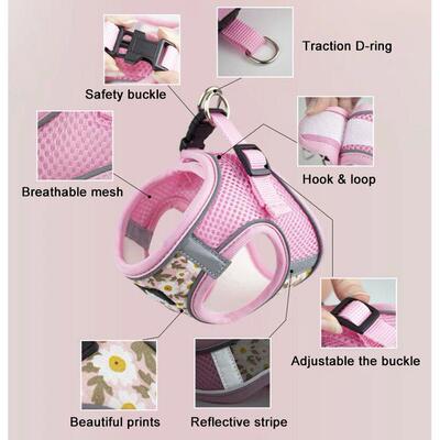 Dog Harness and Leash Set Reflective Pets Chest Strap for Sm