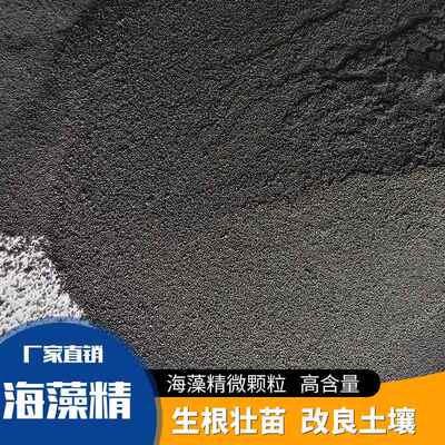 厂家直销微颗粒海藻精水溶肥冲施肥提质增产微颗粒海藻精海藻酸