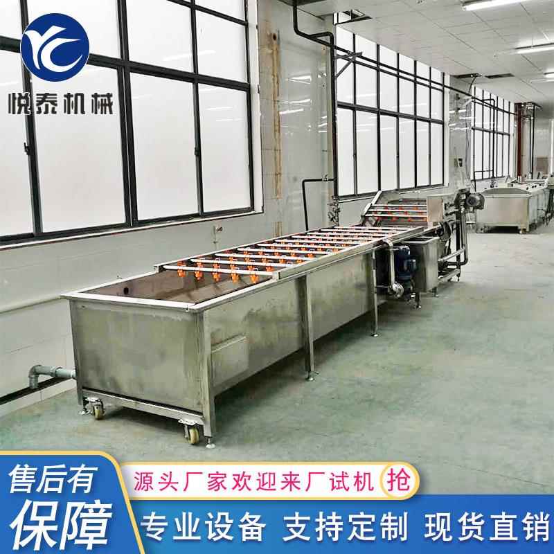大型果蔬气泡清洗机全自动蔬菜清洗设备多功能葡萄用清洗机