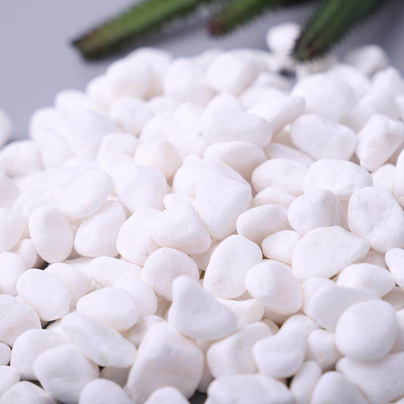 白色鹅卵石雪花白 园林造景园艺景观白色小石子盆栽多肉铺面石头