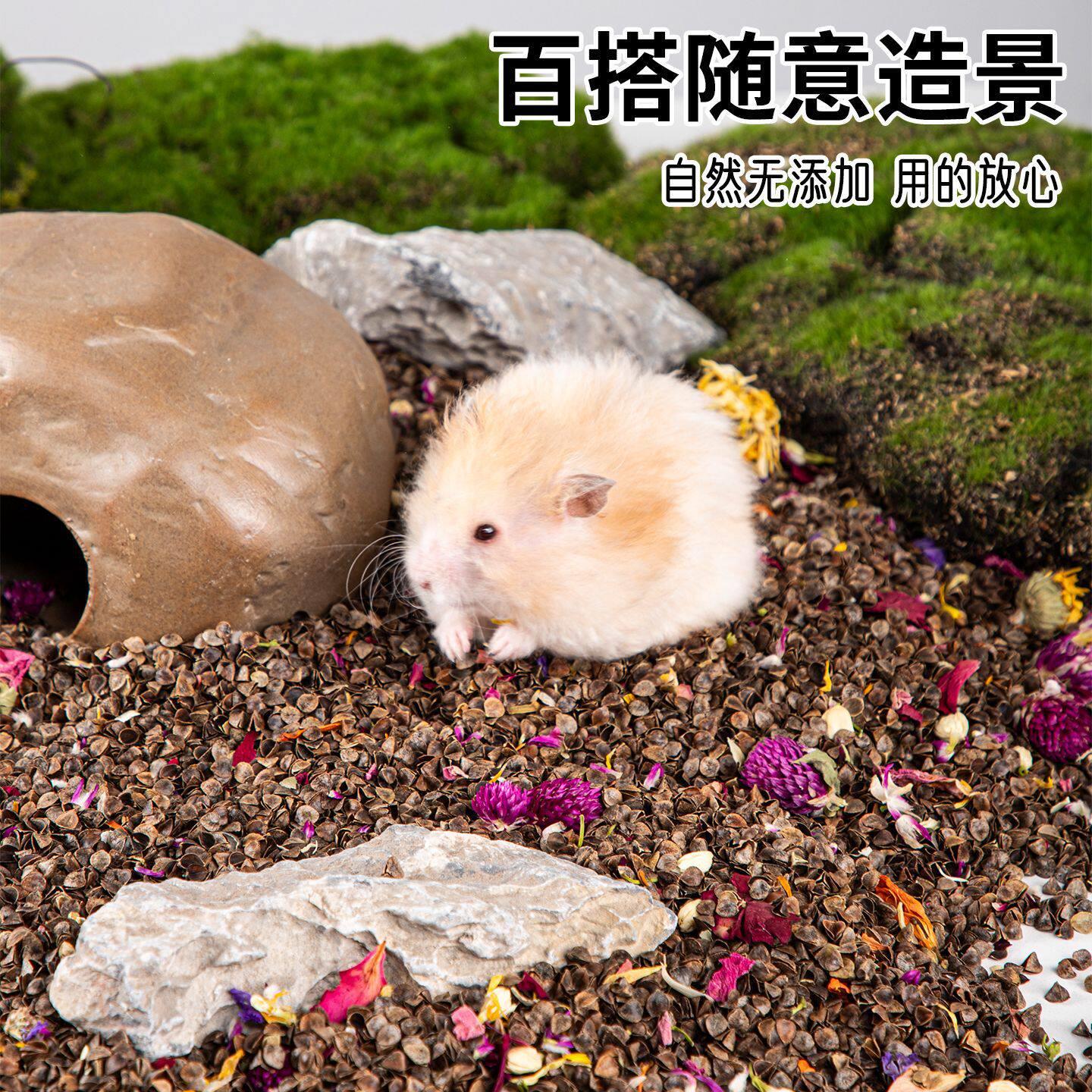 仓鼠垫料荞麦砂水洗荞麦壳金丝熊木屑夏天季除臭专用垫材尿砂