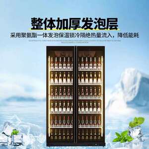 饮料酒吧啤酒双门冰柜商用冷冻保鲜柜便利店立式冰箱冷藏展示柜