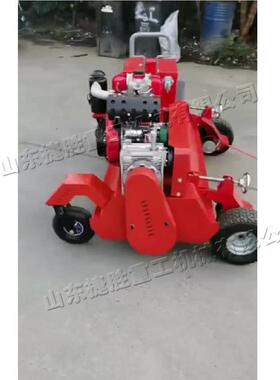 柴油电启坪梳理机 草遥控人造草坪09943梳机 小草型自走草式丝梳