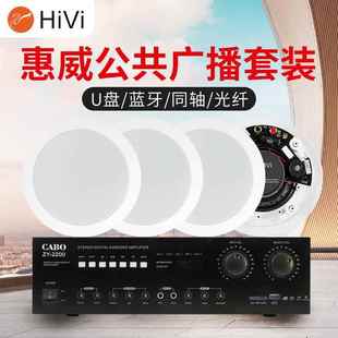 惠威VX5 C定阻同轴立体声吸顶喇叭天花音响环绕声背景音乐套餐