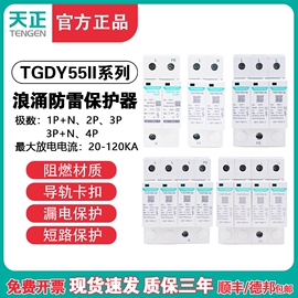 天正 TGDY55II11浪涌电涌保护器防雷避雷器2P/3P+N/4P 2040KA60KA