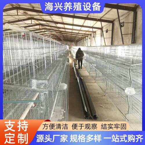 立式蛋鸡笼H型鸡笼养设备镀锌丝三层四层蛋鸡笼自动智能笼养设备