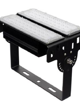 ZH-FL7-ZH100AC220V/50Hz100W泛光灯