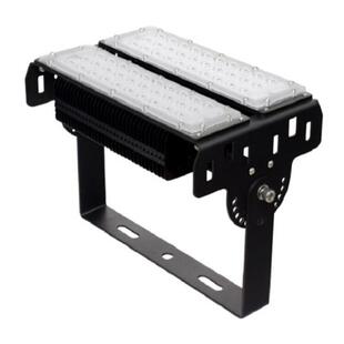 100W 泛光灯 50Hz AC220V FL7 ZH100