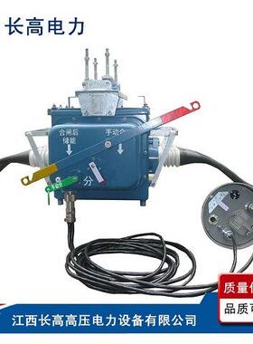 FZW28F-12/T630户外分界智能真空断路器10V高压电动负荷杆上开关