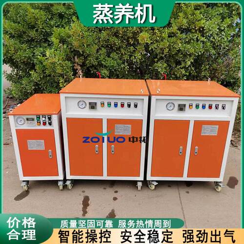 全自动电加热蒸汽发生器冬季桥梁蒸汽养护设备48kw桥梁蒸汽养护器