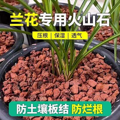 火山石乌龟专用大块颗粒免洗兰花多肉铺面鱼缸造景底部砂石火山岩