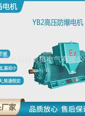 西安电机YB2-4001-4极200KW10KV高压变频防爆三相异步电动机
