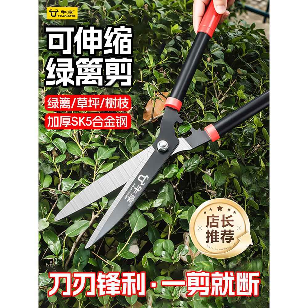 绿篱剪刀花木修枝果树太平剪园林大剪刀绿化草坪大花剪刀花木修枝图片