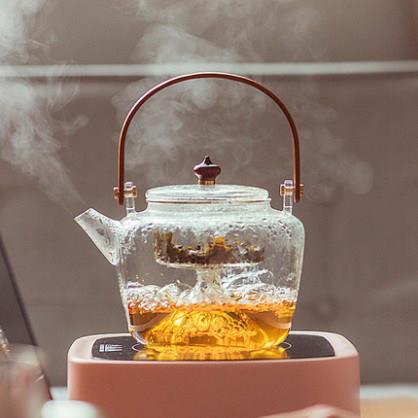 蒸煮茶壶玻璃耐高温烧水壶电陶炉明火可加热白茶煮茶器茶具单壶