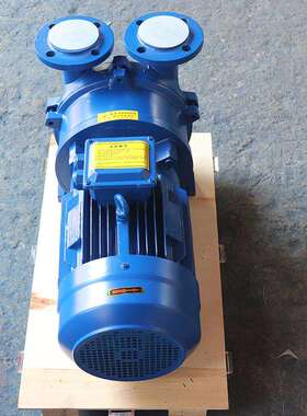 2BV5110水环真空泵工业用不锈钢抽水泵高真空水循环增压泵